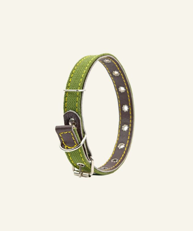 Green canvas dog collar