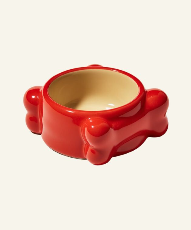 Red ceramic bone dog bowl